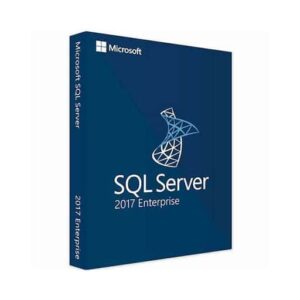 Microsoft SQL Server 2017 Standard - Indigo Software