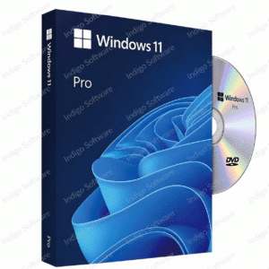 buy_windows_11_pro_dvd_indigo_software